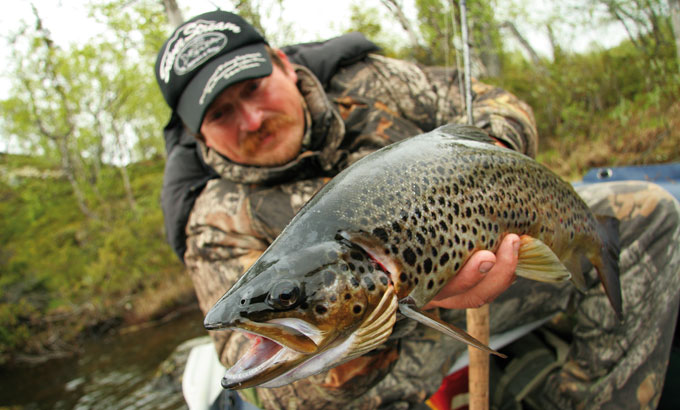 Cоциальные сети