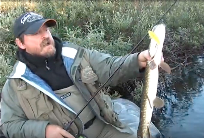 Новый воблер из коллекции SSV R-VIB