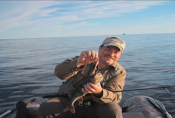 Юбилейная серия Taifun 20 Years 2,4м 2-14 грамм - окунь на кило!