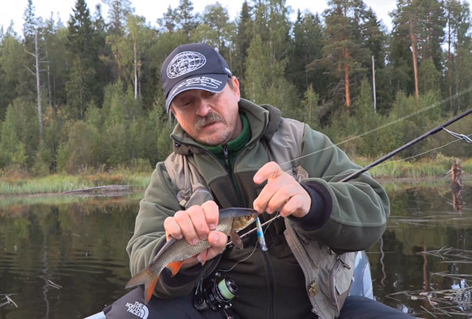 ИНТЕРЕСНЫЙ НОВЫЙ ЦВЕТ ВОБЛЕРА