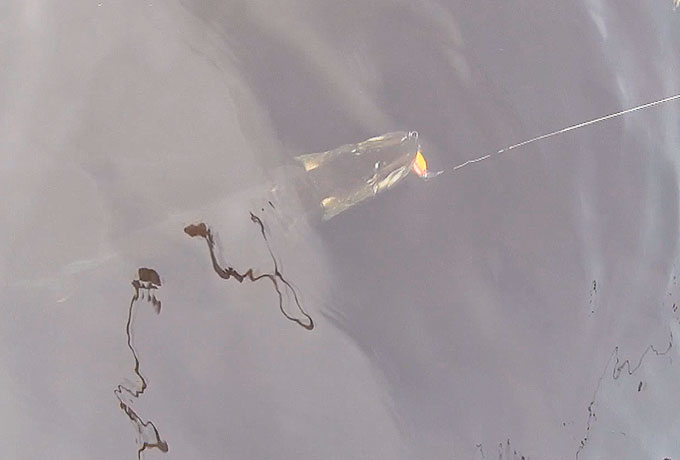 Редкий кадр! Атака щукой воблера River Pro крупным планом...