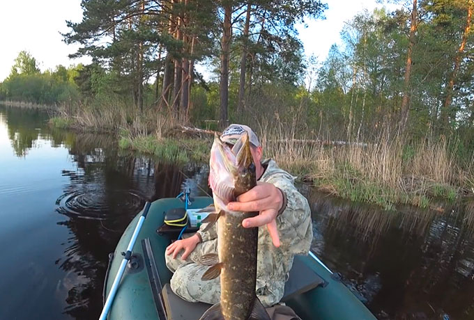 Безотказен по щуке - воблер Delfin!