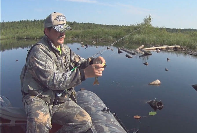 Маленький глоток лета...