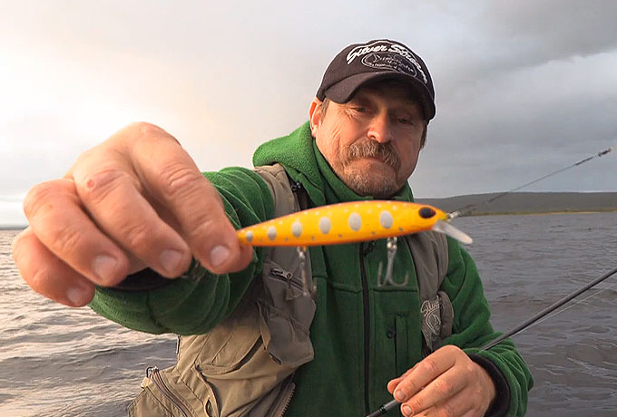 SALAMANDER - воблер со сменной балансировкой