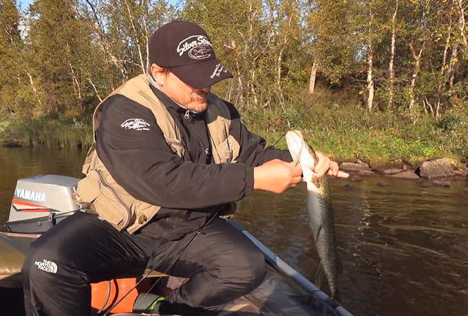 ИНТЕРЕСНО! Работа бланков NEO LINE 1,86 м   0,5 - 4,1 гр. и 1,80 м   0,4 - 3,8 гр