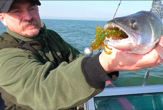 ПОДБИРАЕМ КЛЮЧИК К ОСЕННЕМУ СУДАКУ! TAIFUN 2020