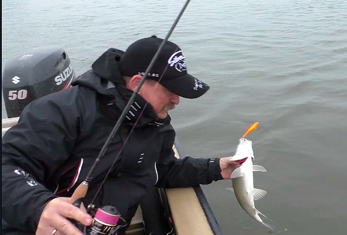 Taifun 2020 732 5-30 Испытания на предельных весах. Осенний жерех на ратлинг!