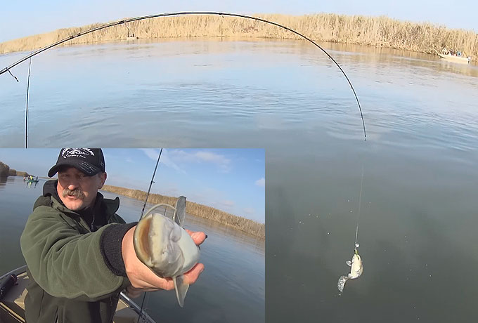 НОВИНКА! Taifun 2020 802 MH  7 - 42 g  Испытание боем!