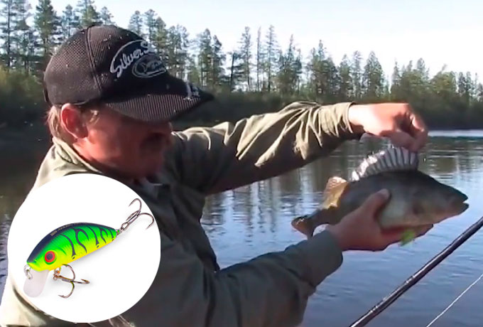 Воблер GOLAVL PRO часть 2 в реальных условиях