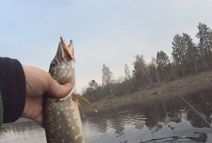 МИКРО ТВИТЧИНГ! Рывковая проводка на ультралайте...
