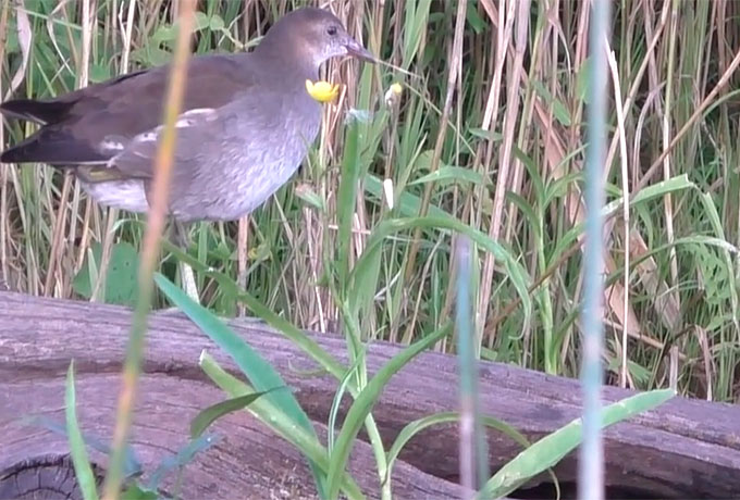 Дальние дали Подмосковья! Тестируем новые модели Taifun Professional