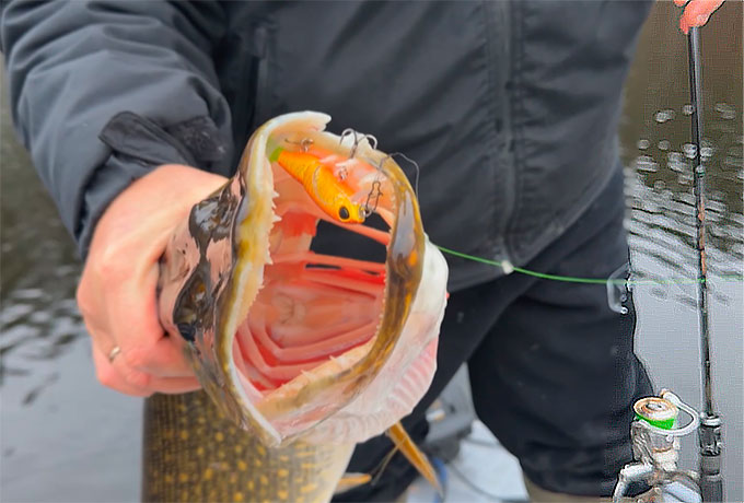 Новинка! Taifun Professional 6-42