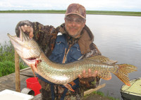 В поисках печорских крокодилов.