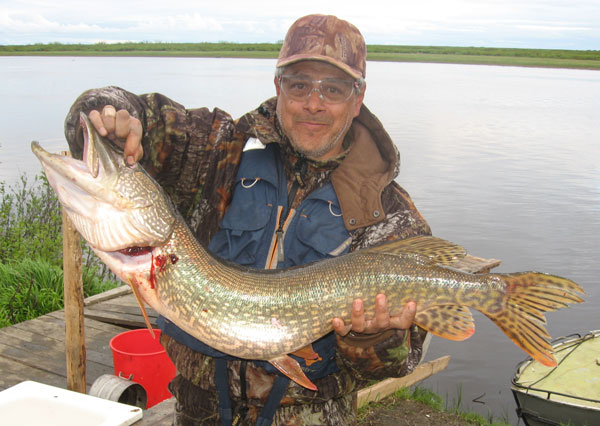 В поисках печорских крокодилов.