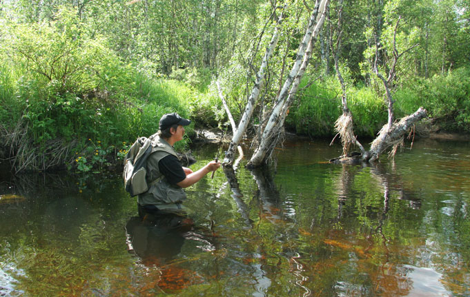 Ультралайт