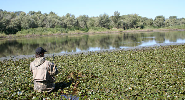 Спиннинг – не раскрытые возможности. Ловля на заросших водоемах.